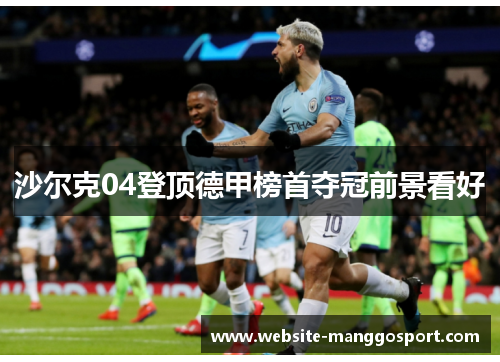 沙尔克04登顶德甲榜首夺冠前景看好