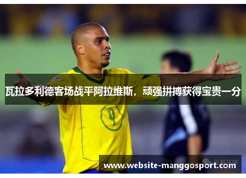 瓦拉多利德客场战平阿拉维斯，顽强拼搏获得宝贵一分