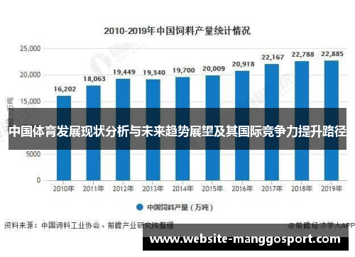 中国体育发展现状分析与未来趋势展望及其国际竞争力提升路径